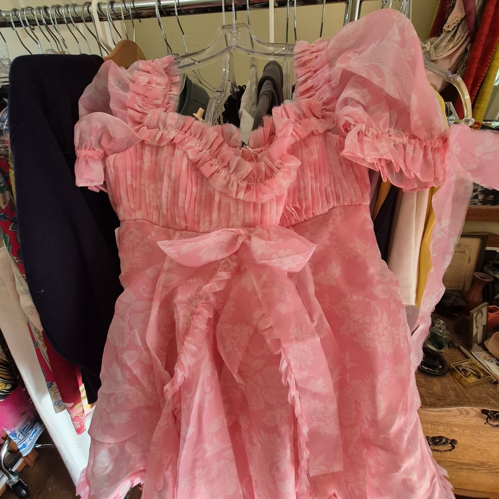 Selkie Blushed Pink Floral Organza Mini Dress - Picture 2 of 5